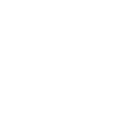 CSS